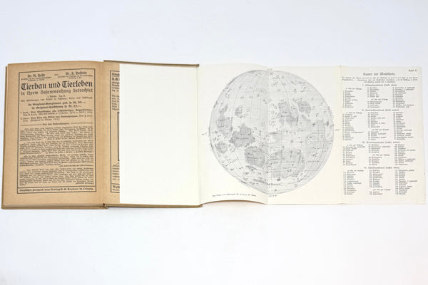 Der Mond, Julius Franz. Second Edition.