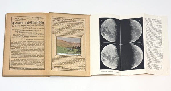 Der Mond, Julius Franz. Second Edition.