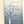 Load image into Gallery viewer, A Tree of Night and Other Stories, Truman Capote. First Edition.
