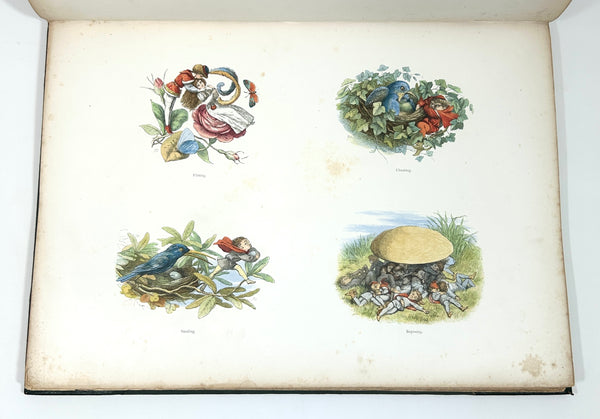 In Fairyland: A Series of Pictures from the Elf-World. Richard Doyle & William Allingham. Second Edition.