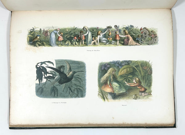 In Fairyland: A Series of Pictures from the Elf-World. Richard Doyle & William Allingham. Second Edition.