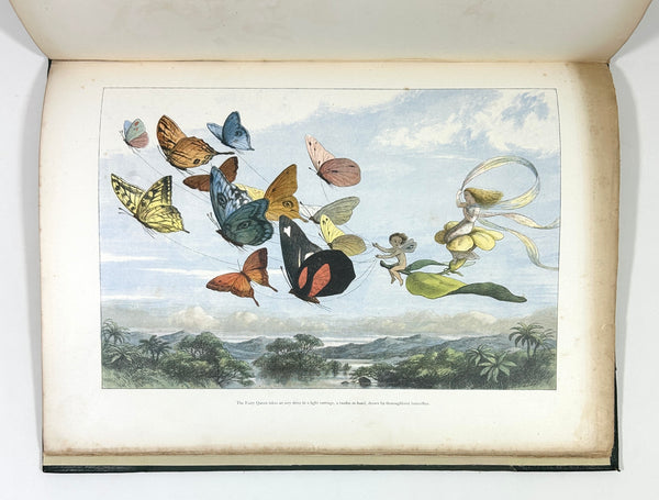 In Fairyland: A Series of Pictures from the Elf-World. Richard Doyle & William Allingham. Second Edition.