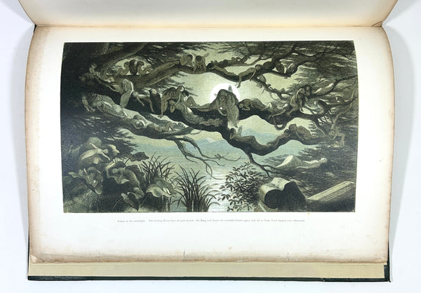 In Fairyland: A Series of Pictures from the Elf-World. Richard Doyle & William Allingham. Second Edition.