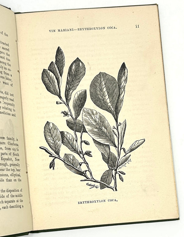 Erythroxylon Coca (Vin Mariani): Its Uses in the Treatment of Disease [Angelo Mariani]. Fourth edition.