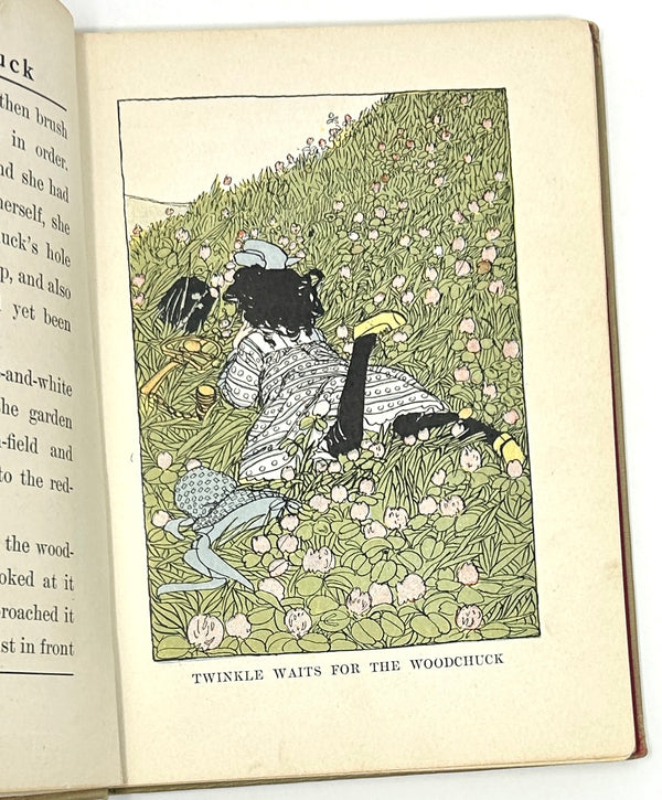 Mr. Woodchuck, Laura Bancroft [L. Frank Baum]. First Edition.