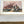Load image into Gallery viewer, History of the Indian Tribes of North America, Thomas McKenney and James Hall. Fourth Octavo Edition.
