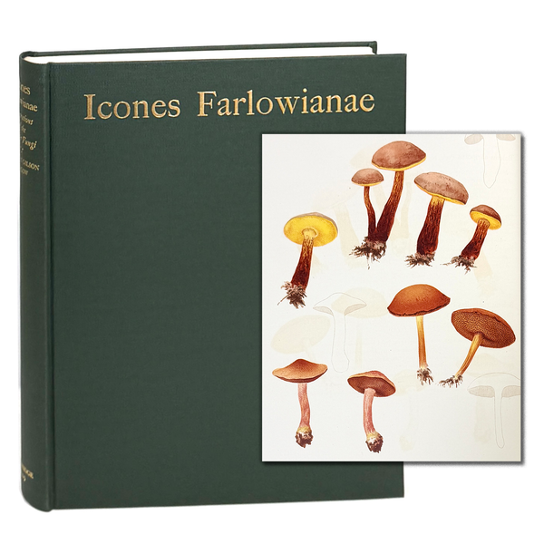 Icones Farlowianae, William Gilson Farlow & Edward Angus Burt. First Edition.