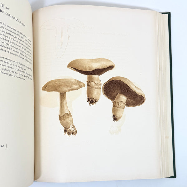 Icones Farlowianae, William Gilson Farlow & Edward Angus Burt. First Edition.
