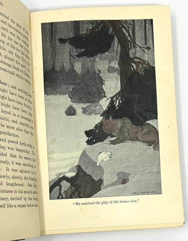 White Fang, Jack London. First Edition.