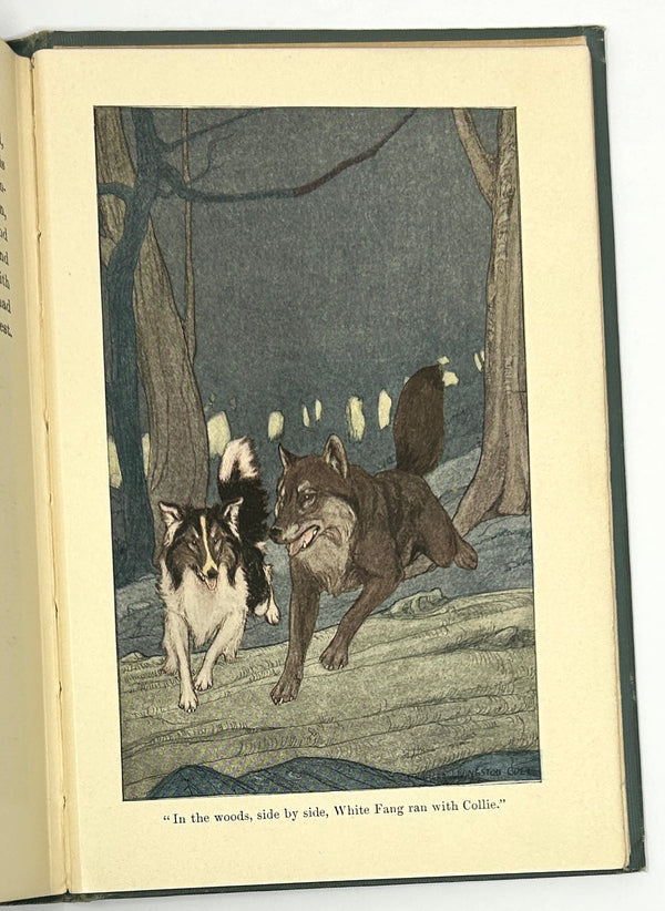 White Fang, Jack London. First Edition.