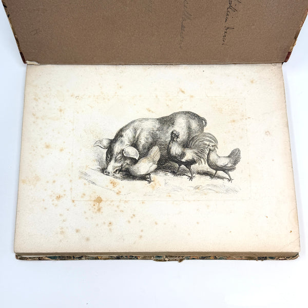 Miscellaneous Etchings, Samuel Howitt. Early Edition.
