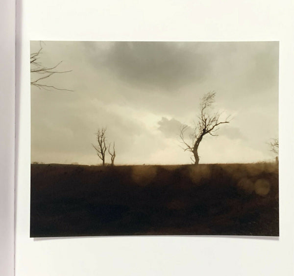 Cracked Trees, Todd Hido. Signed Limited First Edition One Picture Book Nazraeli